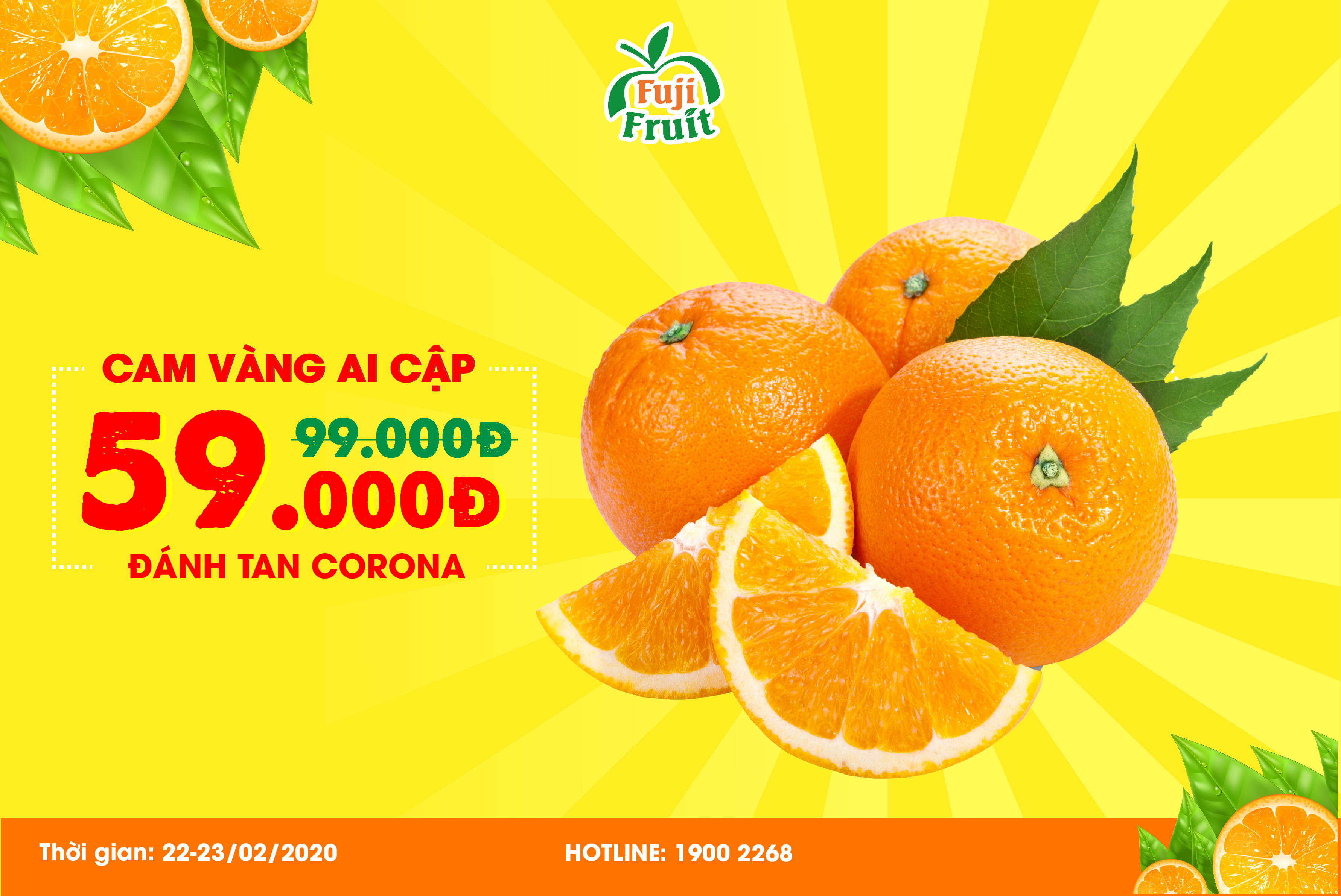 Cam vàng Ai Cập 59K-Đánh tan Virus Corona
