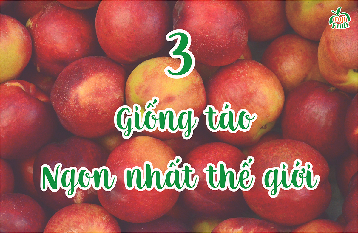 3 GIỐNG TÁO NGON NHẤT THẾ GIỚI