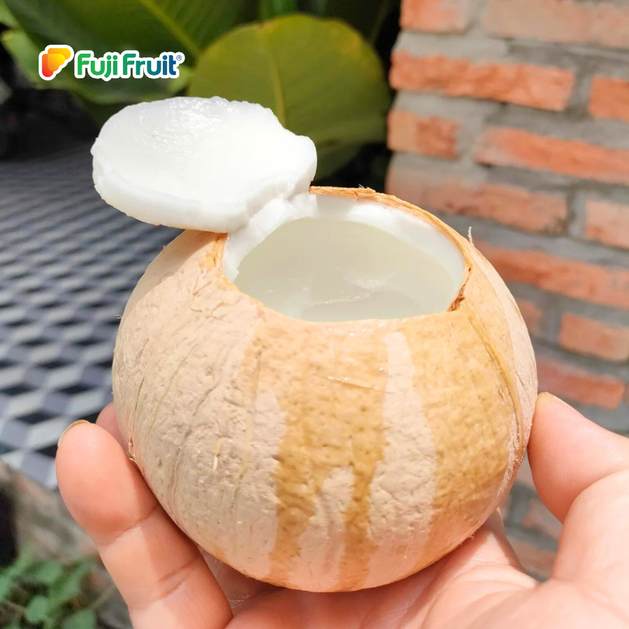 Dừa trọc size L