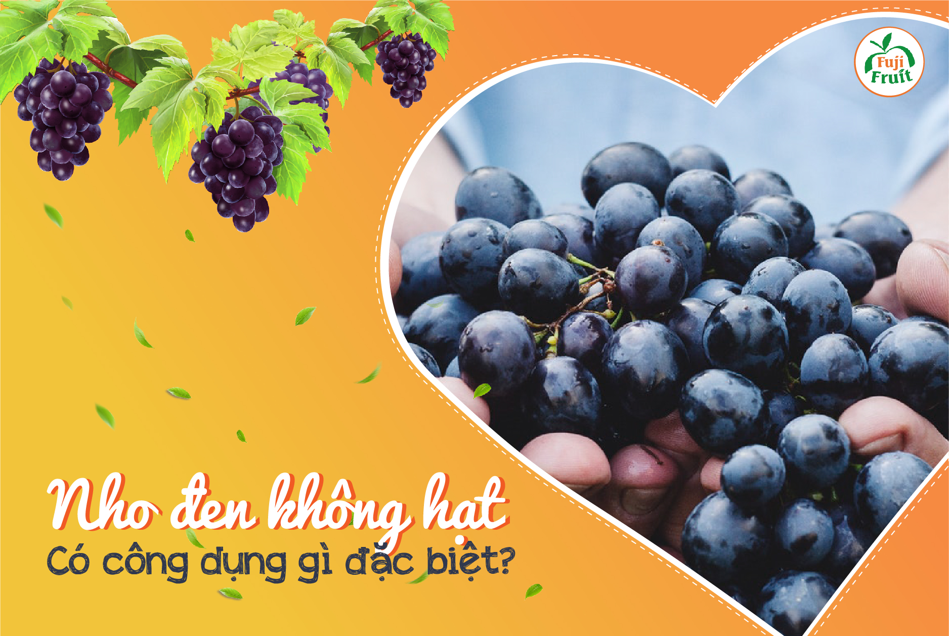 NHO KHÔNG HẠT CÓ TÁC DỤNG GÌ?