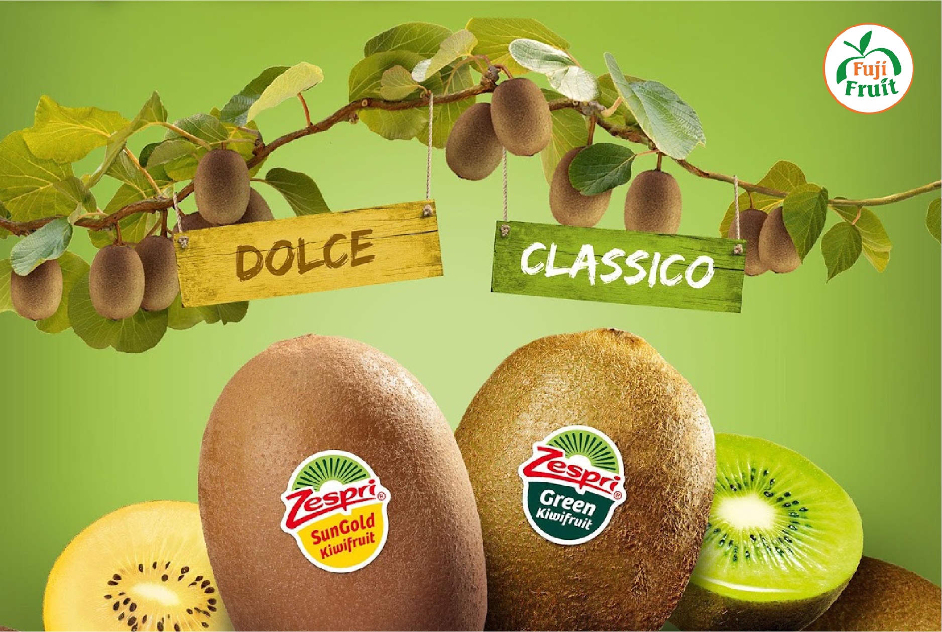 Kiwi Vàng Và Xanh Loại Nào Tốt Hơn ?