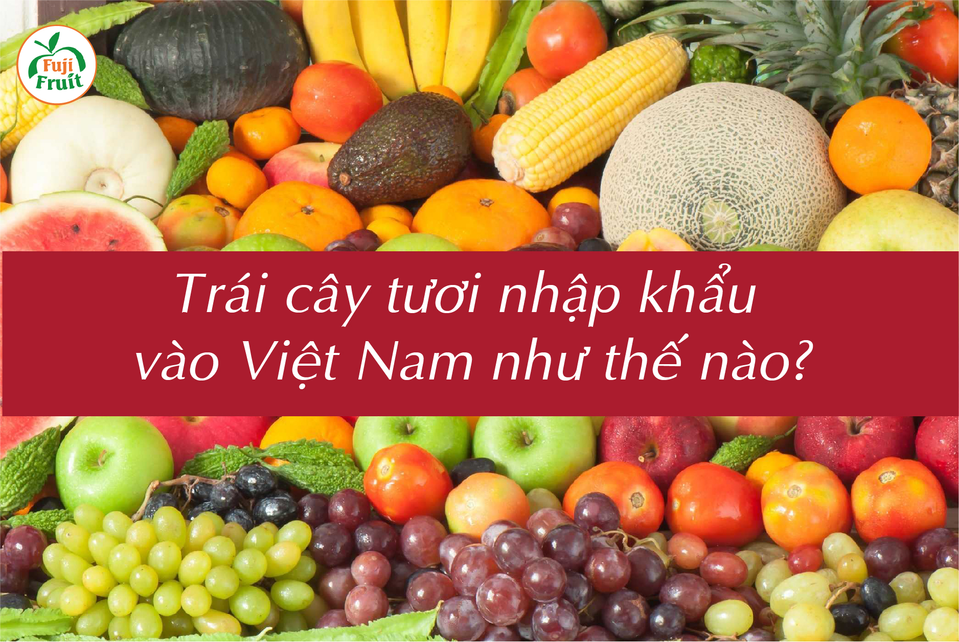 Trái Cây Tươi Nhập Khẩu Vào Việt Nam Như Thế Nào?