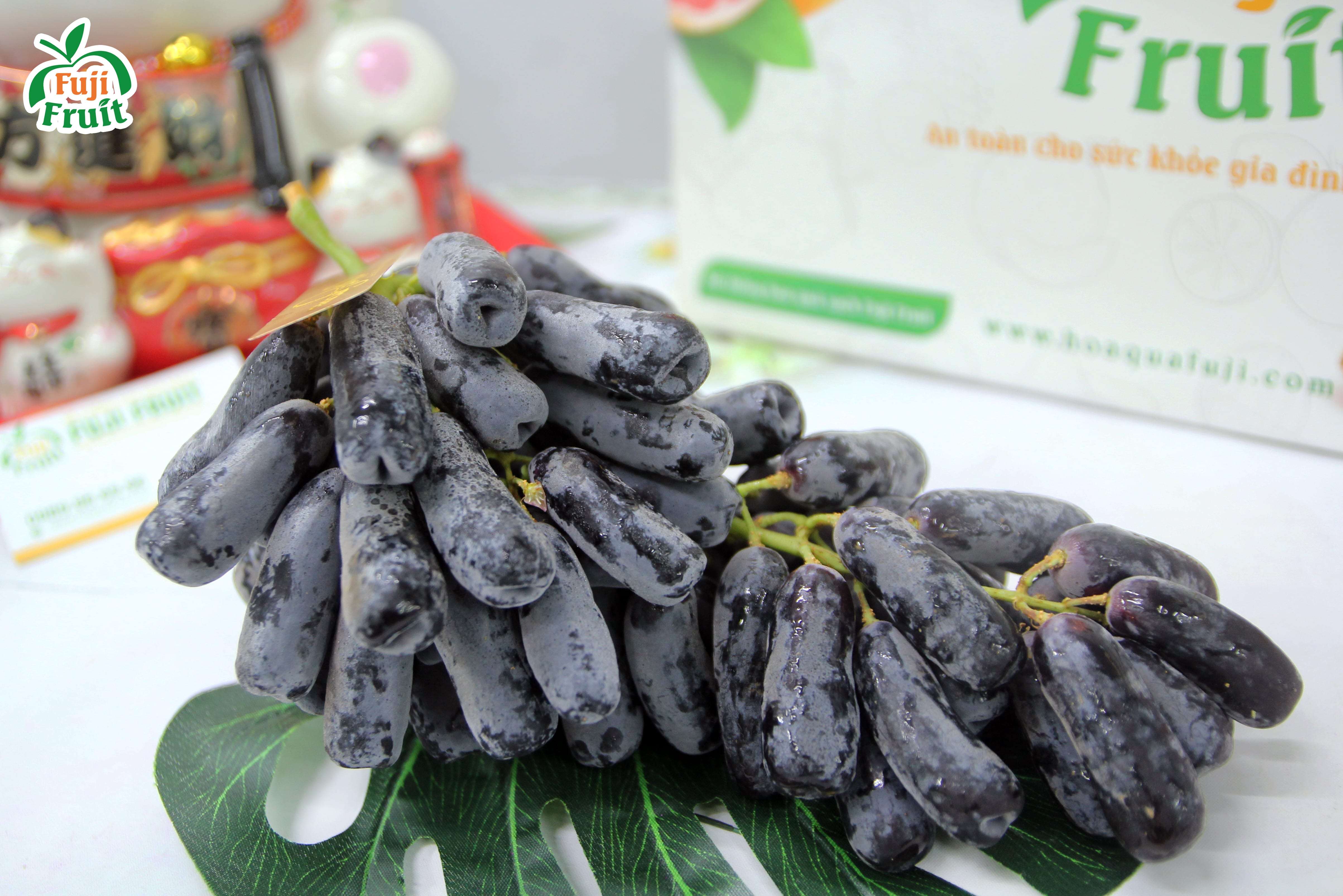 Nho đen dài không hạt Mỹ