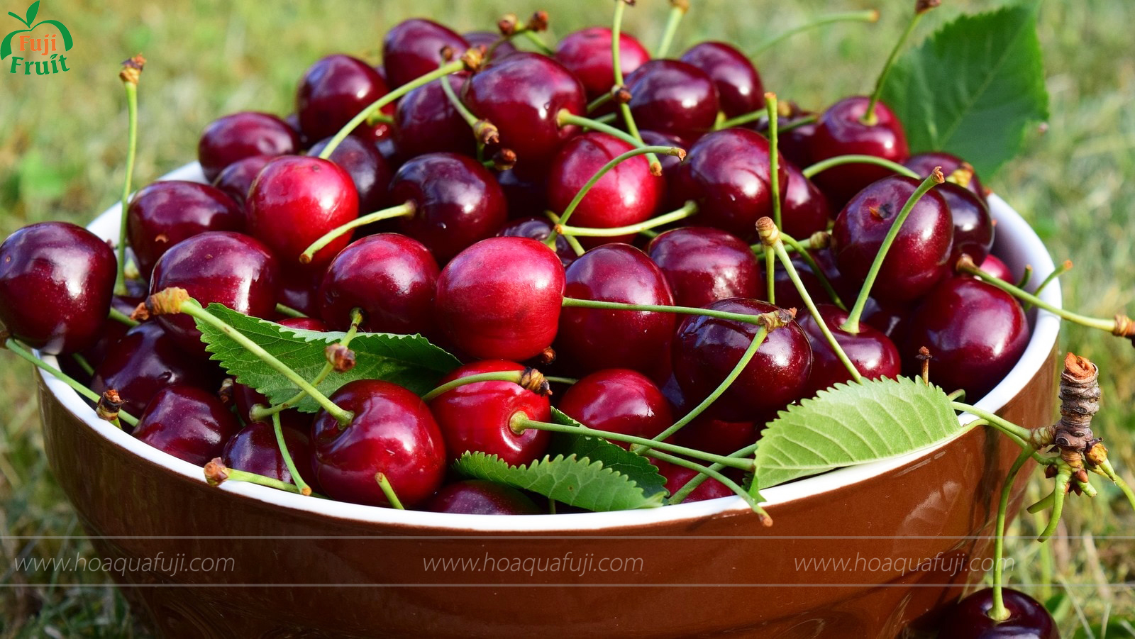 Mua Cherry Mỹ ở Đâu?