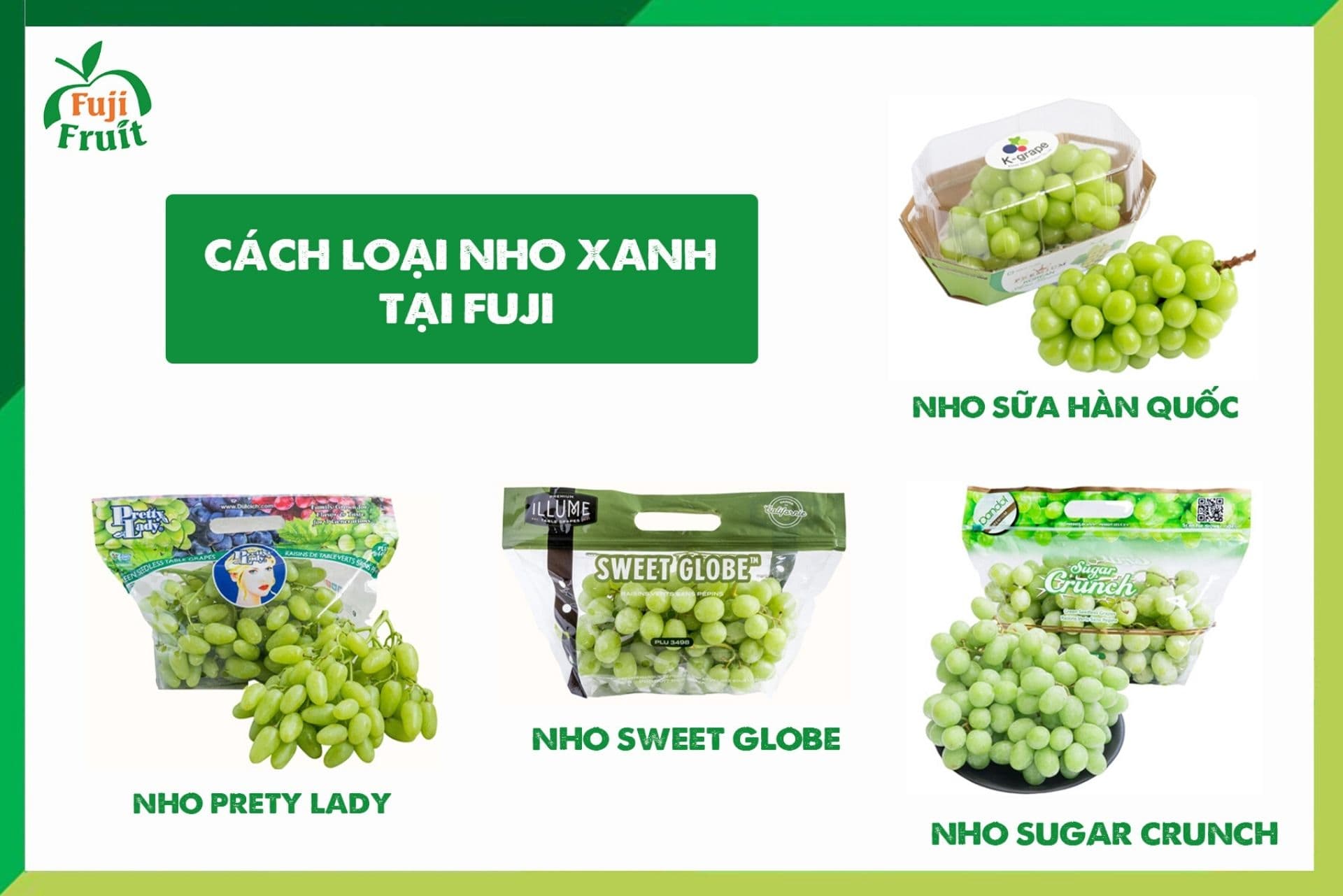 Top nho xanh Mỹ bán chạy trên thị trường Việt Nam