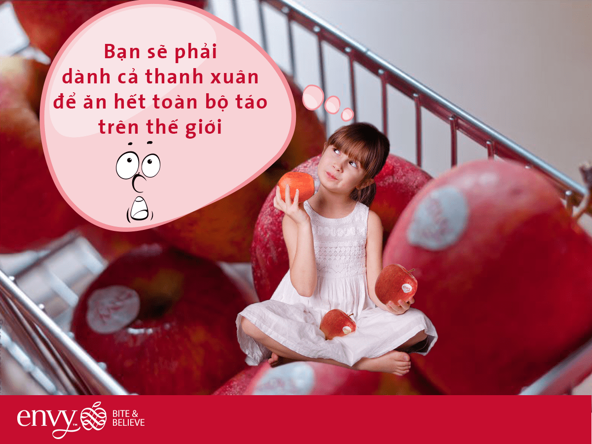 Táo Envy size 24, 30, 70, 90 có nghĩa là gì?