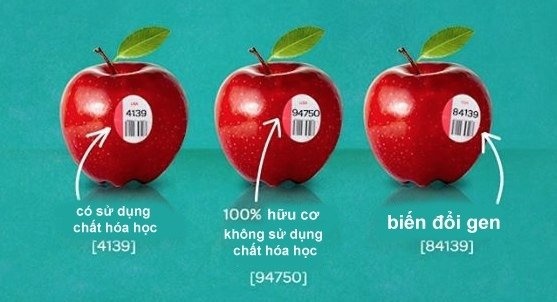 Ý nghĩa mã vạch dán trên hoa quả nhập khẩu là gì?
