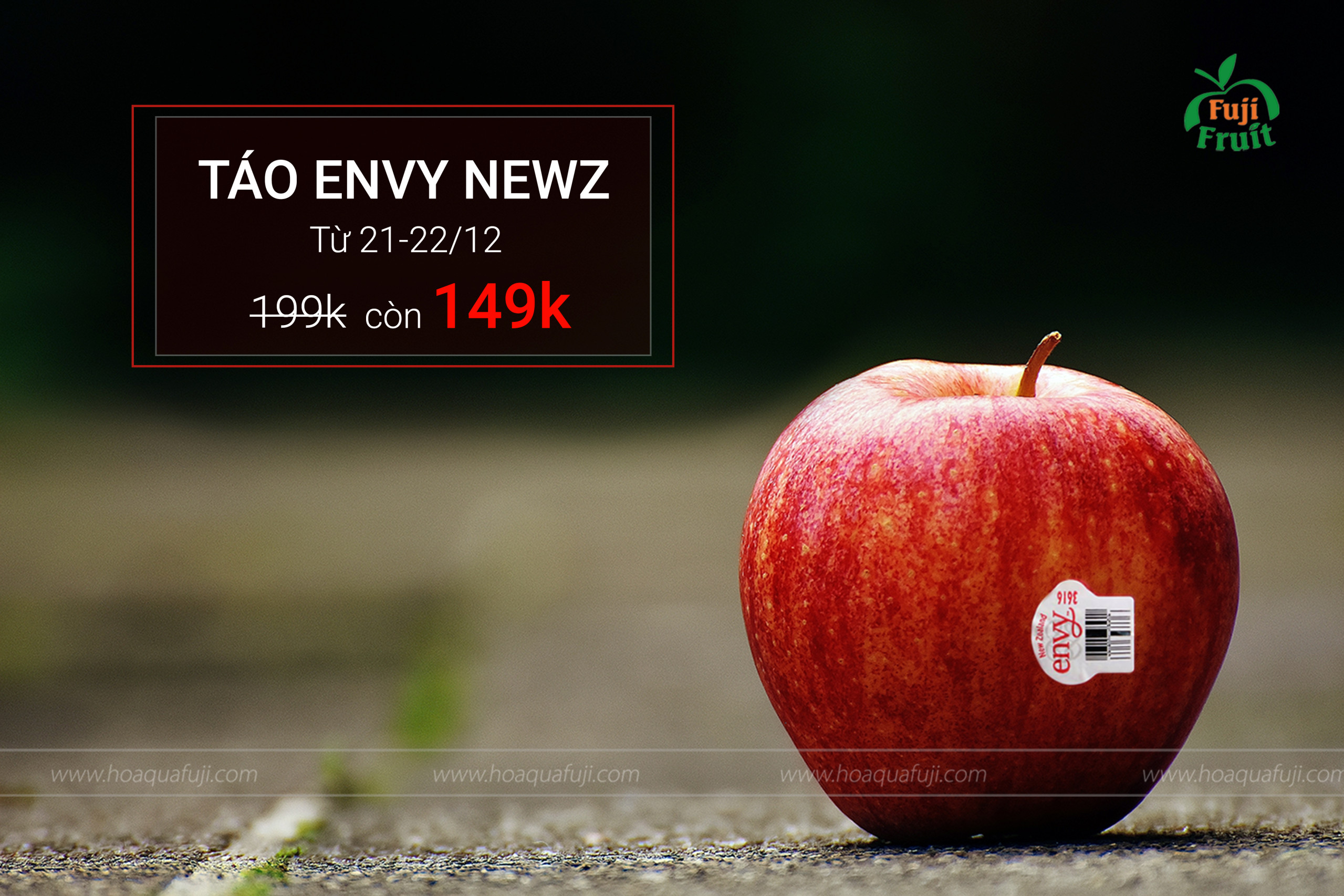 BIG SALE – BIG SIZE: TÁO ENVY!!!