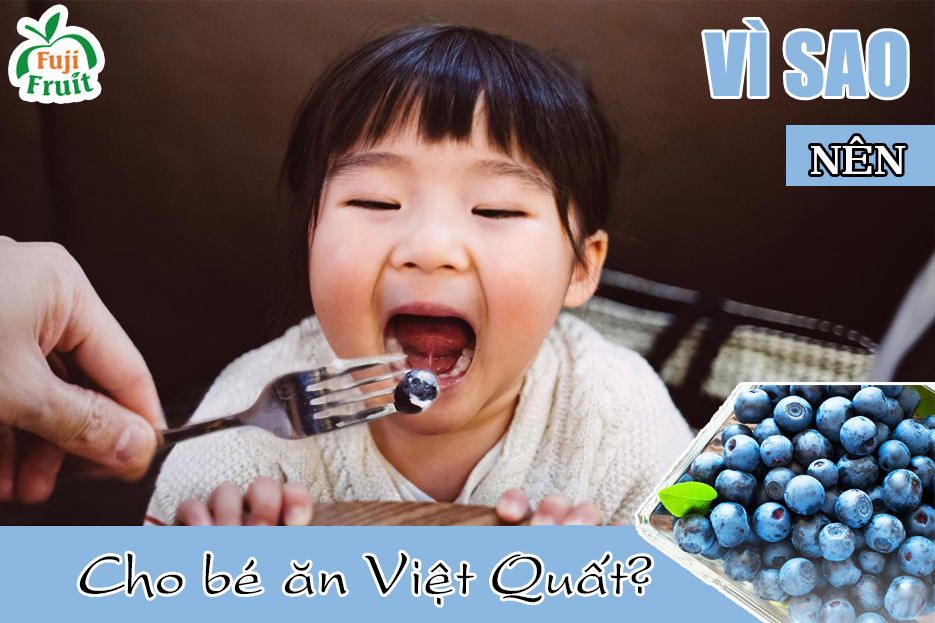 Vì sao nên cho bé ăn việt quất sớm?