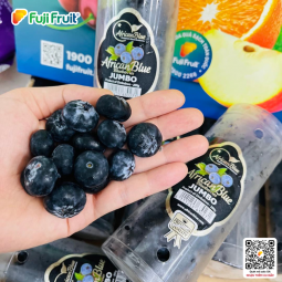 Việt quất Zimbabwe (200g)
