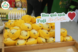 Tác dụng của xoài Cát Chu Đồng Tháp