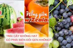 Trái cây không hạt có phải biến đổi gen không?