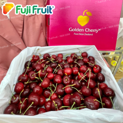 Hộp Cherry cao cấp
