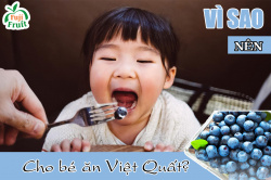Vì sao nên cho bé ăn việt quất sớm?