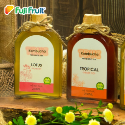 Kombucha True 250ml