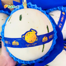 Dưa chấm giống Nhật
