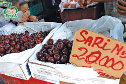 CÁCH PHÂN BIỆT CHERRY MỸ VÀ CHERRY TRUNG QUỐC