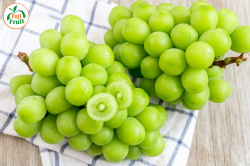 Giá nho sữa Hàn Quốc trên thị trường hiện nay bao nhiêu?