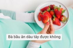 Ăn dâu tây có tốt cho bà bầu không?