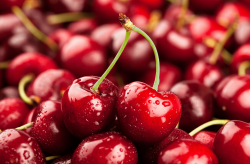 Giá Cherry Mỹ Trên Thị Trường Hiện Nay Như Thế Nào ?
