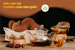 NẤM LINH CHI THƯỢNG HẠNG HÀN QUỐC-MÓN QUÀ SỨC KHỎE CHO NGƯỜI PHỤ NỮ CỦA BẠN