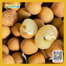 Nhãn bắp cải Vũng Tàu (Loại 1)