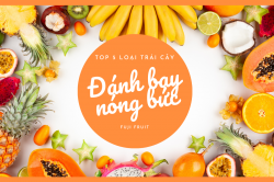 TOP 5 LOẠI TRÁI CÂY ĐÁNH BAY NÓNG BỨC