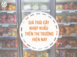 GIÁ TRÁI CÂY NHẬP KHẨU TRÊN THỊ TRƯỜNG HIỆN NAY NHƯ THẾ NÀO?