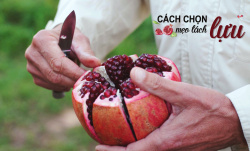Bày cách chọn mua quả lựu ngon chuẩn từng quả.