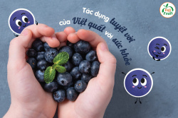 Quả việt quất tươi có tác dụng gì cho sức khỏe ?