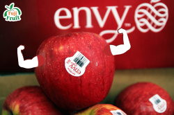 Táo envy size nhỏ - ''nhỏ nhưng có võ''