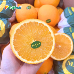 Cam vàng Ai Cập