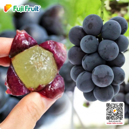 Nho rượu Hàn Quốc