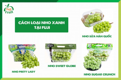 Top nho xanh Mỹ bán chạy trên thị trường Việt Nam