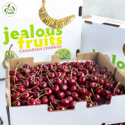 Cherry Canada