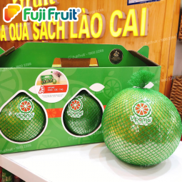 Set bưởi da xanh Vipome cao cấp