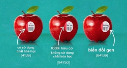 Ý nghĩa mã vạch dán trên hoa quả nhập khẩu là gì?