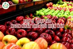 5 Loại Táo Ngon Nhất Thế Giới Hiện Nay